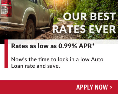 Auto Loan Sale