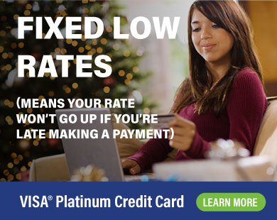 VISA Platinum Credit Card Fixed Low Rates