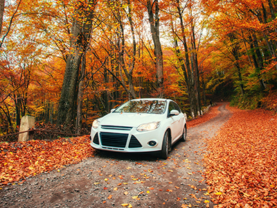 TCT is Your One-Stop Auto Buying Shop